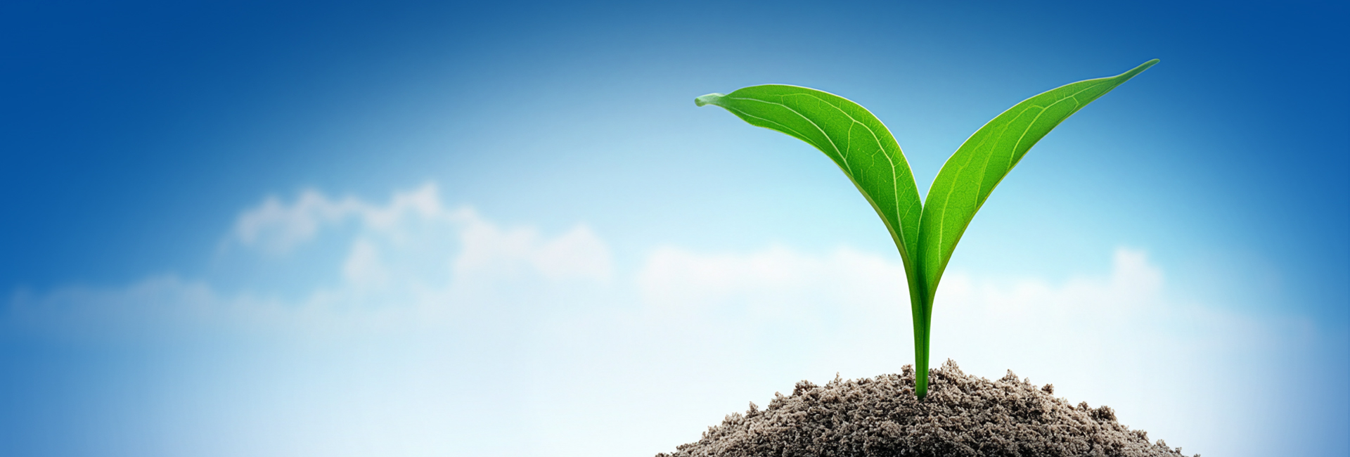 XPJ·(澳门区)公司官方网站